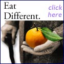 drkoop.com